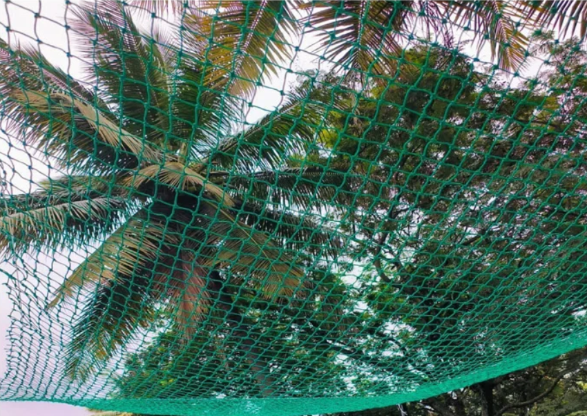 Coconut Tree Safety Nets in Chennai